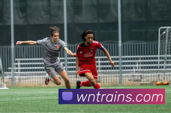 线上买球APP 封面图