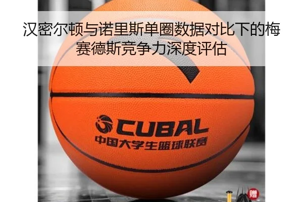 汉密尔顿与诺里斯单圈数据对比下的梅赛德斯竞争力深度评估